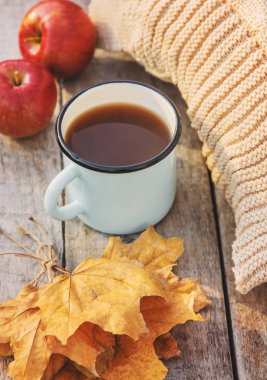 Güzel sonbahar arka plan. Merhaba Autumn. Seçici odaklama.