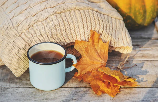 Güzel sonbahar arka plan. Merhaba Autumn. Seçici odaklama. — Stok fotoğraf