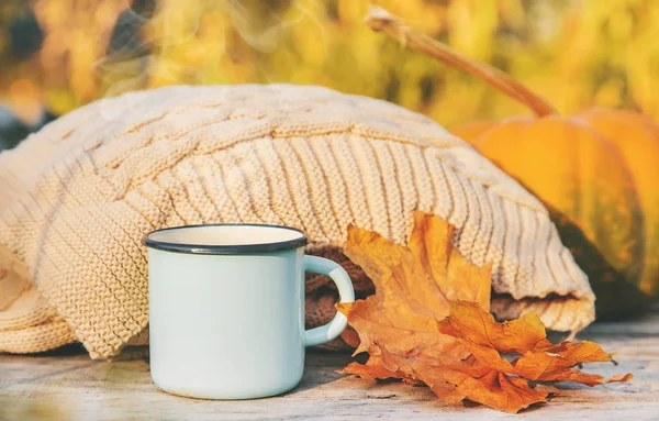 Beautiful autumn background. Hello, Autumn. Selective focus.