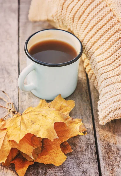 Güzel sonbahar arka plan. Merhaba Autumn. Seçici odaklama. — Stok fotoğraf