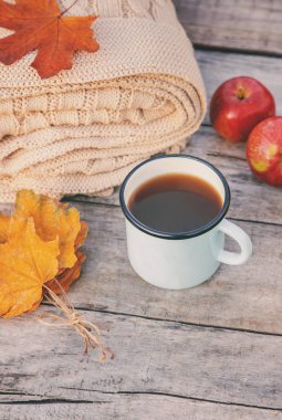 Güzel sonbahar arka plan. Merhaba Autumn. Seçici odaklama.