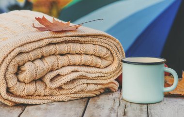 Güzel sonbahar arka plan. Merhaba Autumn. Seçici odaklama.