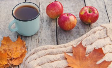 Güzel sonbahar arka plan. Merhaba Autumn. Seçici odaklama.