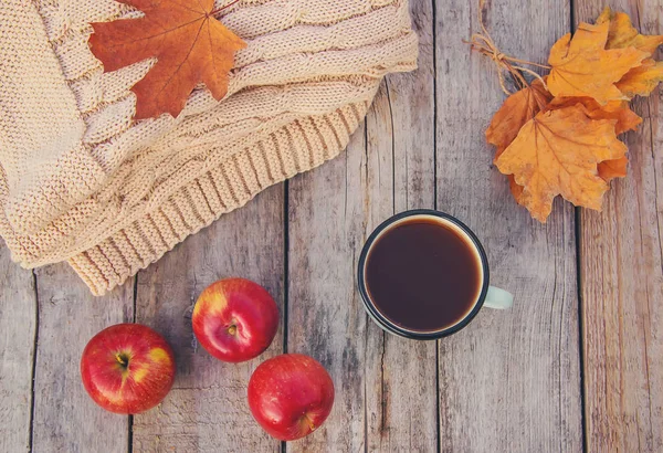 아름다운 가을 배경입니다. 안녕하세요, 가을. 선택적 초점. — 스톡 사진