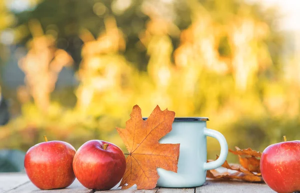 Güzel sonbahar arka plan. Merhaba Autumn. Seçici odaklama. — Stok fotoğraf