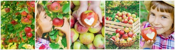 Коллаж фотографий детей яблоневый сад. Селективный фокус . — стоковое фото