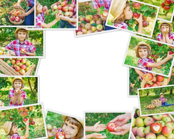 Collage av bilder barn Apple Garden. Selektivt fokus. — Stockfoto