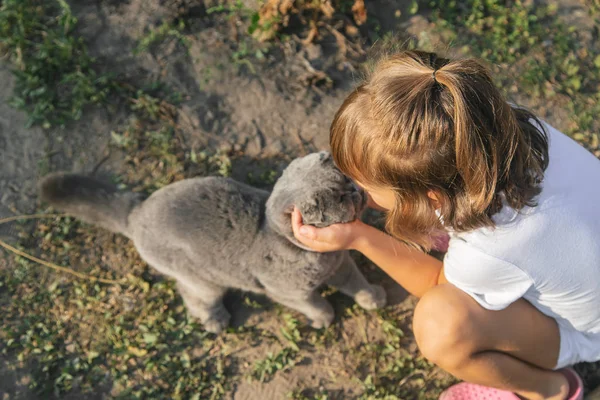 子供の女の子は猫が大好きです。選択フォーカス. — ストック写真