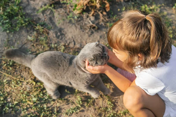 子供の女の子は猫が大好きです。選択フォーカス. — ストック写真