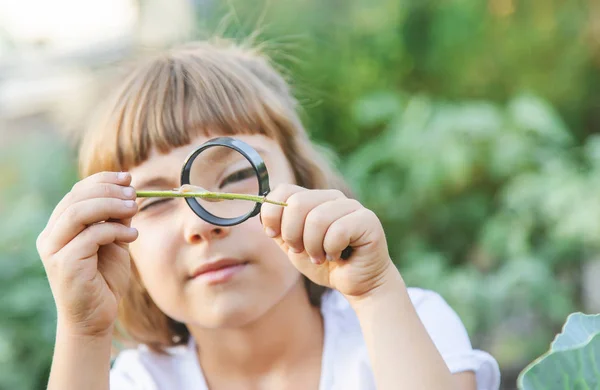 Child with a magnifying glass in his hands. Selective focus. — Stock Photo, Image
