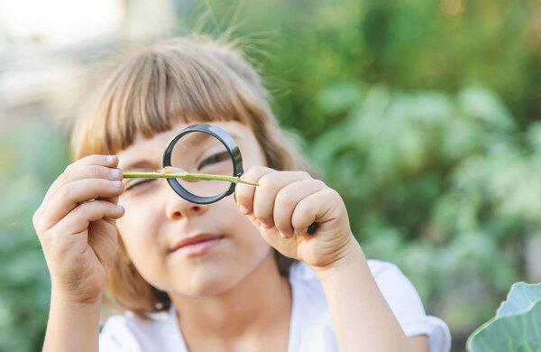 Child with a magnifying glass in his hands. Selective focus.