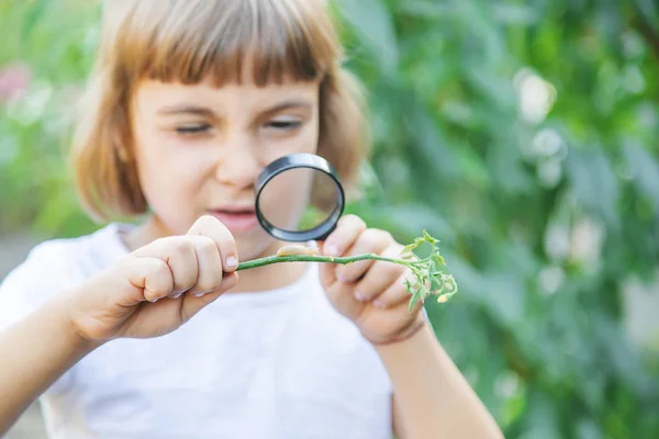 Bambino con una lente d'ingrandimento in mano. Focus selettivo . — Foto Stock