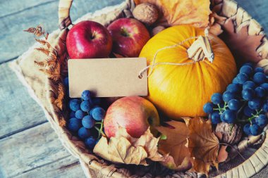 Balkabağı ile sonbahar arka plan. Şükran Günü. Seçici odaklama.