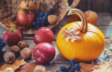 Balkabağı ile sonbahar arka plan. Şükran Günü. Seçici odaklama.