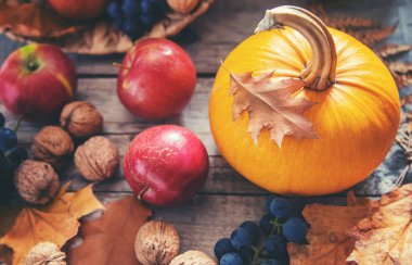 Balkabağı ile sonbahar arka plan. Şükran Günü. Seçici odaklama.