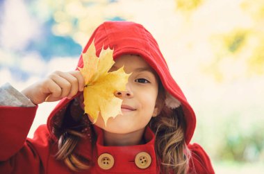 sonbahar yaprakları ile kırmızı bir ceket çocuk. Sonbaharı seviyorum. Seçici odaklama.