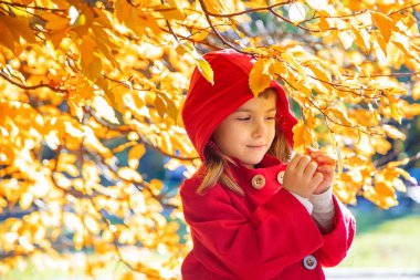 sonbahar yaprakları ile kırmızı bir ceket çocuk. Sonbaharı seviyorum. Seçici odaklama.