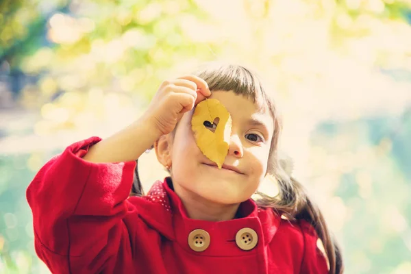 Criança em um casaco vermelho com folhas de outono. Adoro outono. Foco seletivo . — Fotografia de Stock
