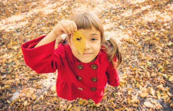 Gyermek egy vörös kabát őszi levelek. Szerelem ősszel. Szelektív fókusz. — Stock Fotó