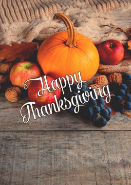 Balkabağı ile sonbahar arka plan. Şükran Günü. Seçici odaklama.