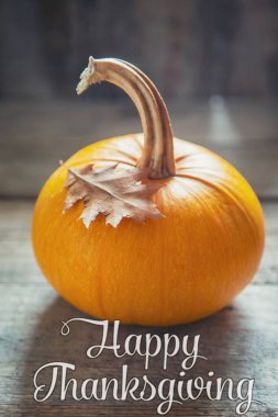 Balkabağı ile sonbahar arka plan. Şükran Günü. Seçici odaklama.