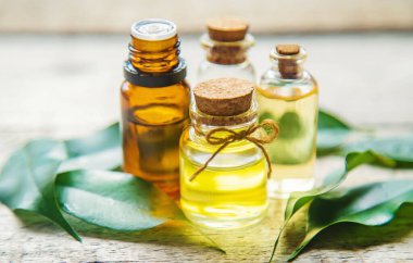 Çay ağacı küçük bir şişede gerekli yağ. Seçici odak.