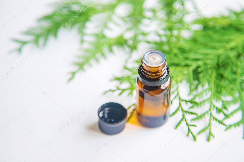 Juniper essential oil in a small bottle. Selective focus.