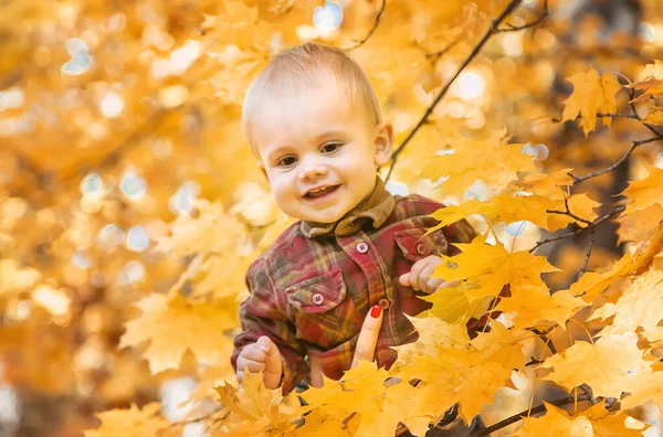 秋の公園で子供の男の子が葉を残します。選択的焦点. — ストック写真