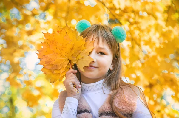 Kinder im Park mit Herbstlaub. Selektiver Fokus. — Stockfoto