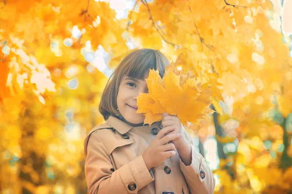 Kinder im Park mit Herbstlaub. Selektiver Fokus. — Stockfoto