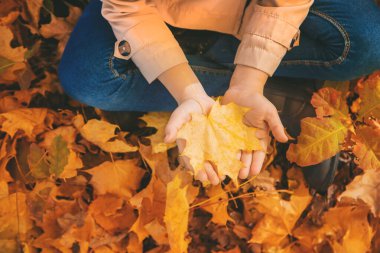 Sonbahar yapraklarıyla parktaki çocuklar. Seçici odak.