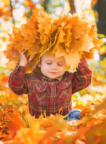 Petit garçon dans le parc sur les feuilles d'automne. Concentration sélective . — Photo