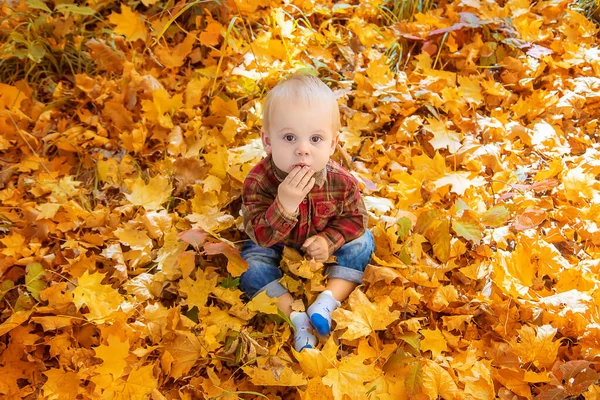 Mały chłopiec w parku na jesiennych liściach. Skupienie selektywne. — Zdjęcie stockowe