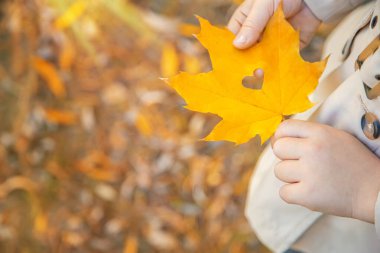 Sonbahar yapraklarıyla parktaki çocuklar. Seçici odak.