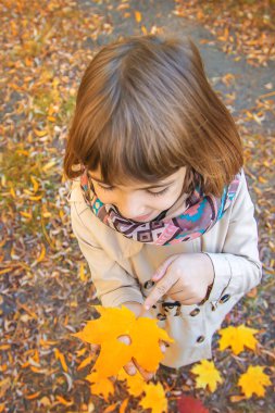 Sonbahar yapraklarıyla parktaki çocuklar. Seçici odak.