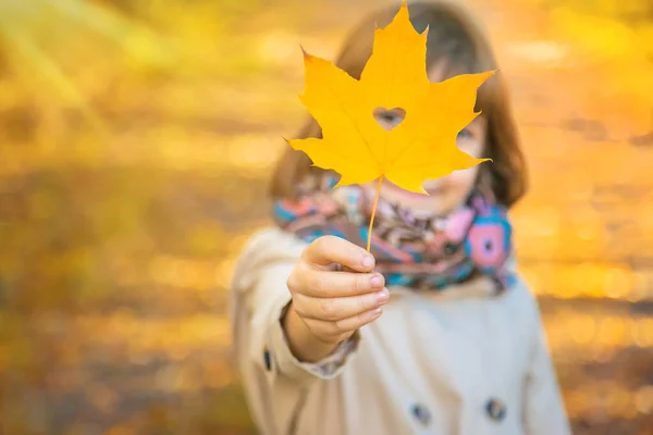 Niños en el parque con hojas de otoño. Enfoque selectivo. —  Fotos de Stock