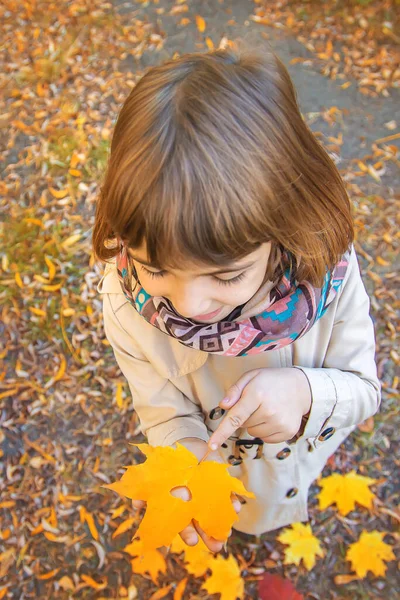 秋の葉を持つ公園の子供たち。選択的焦点. — ストック写真