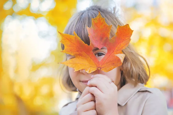 Дети в парке с осенними листьями. Селективный фокус. — стоковое фото