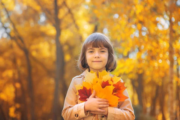 Enfants dans le parc avec des feuilles d'automne. Concentration sélective. — Photo