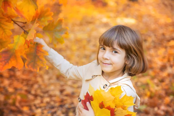 秋の葉を持つ公園の子供たち。選択的焦点. — ストック写真