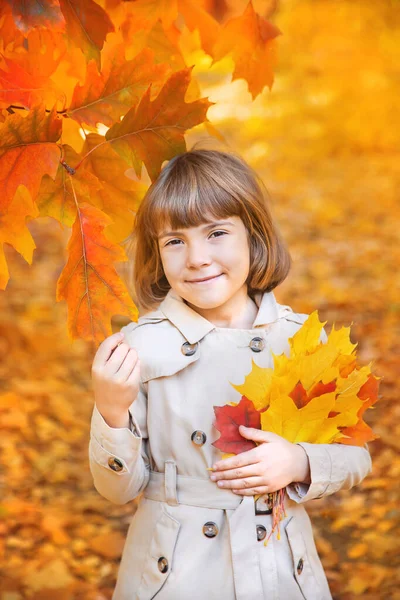 Kinder im Park mit Herbstlaub. Selektiver Fokus. — Stockfoto