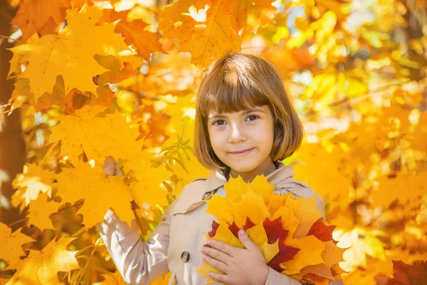 Enfants dans le parc avec des feuilles d'automne. Concentration sélective. — Photo