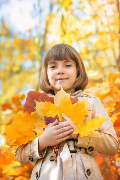 Enfants dans le parc avec des feuilles d'automne. Concentration sélective. — Photo