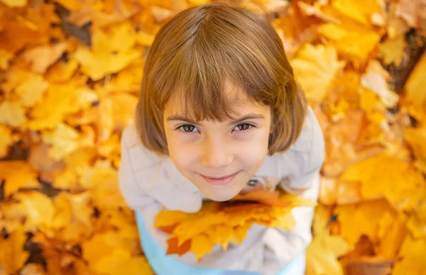 Copii în parc cu frunze de toamnă. Focalizare selectivă . — Fotografie, imagine de stoc