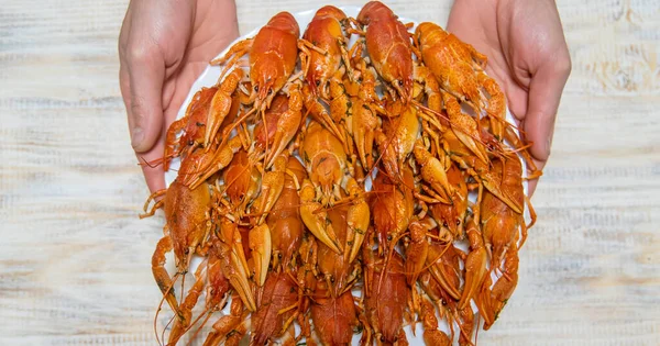 Cangrejos Río Cocidos Sobre Mesa Enfoque Selectivo Alimentos — Foto de Stock