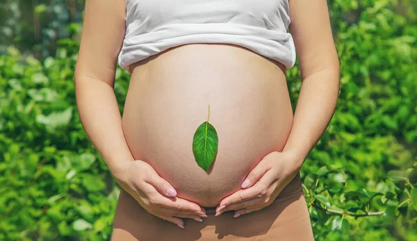 Barriga Grávida Com Uma Folha Foco Seletivo Pessoas — Fotografia de Stock