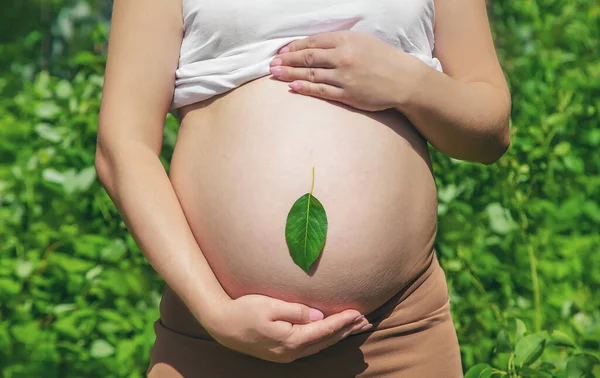 Barriga Grávida Com Uma Folha Foco Seletivo Pessoas — Fotografia de Stock