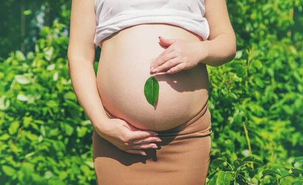 Barriga Grávida Com Uma Folha Foco Seletivo Pessoas — Fotografia de Stock