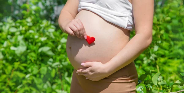 妊娠中の腹と心を手に 選択的フォーカス 人々は — ストック写真