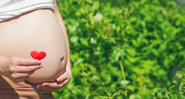 Barriga Grávida Coração Nas Mãos Foco Seletivo Pessoas — Fotografia de Stock